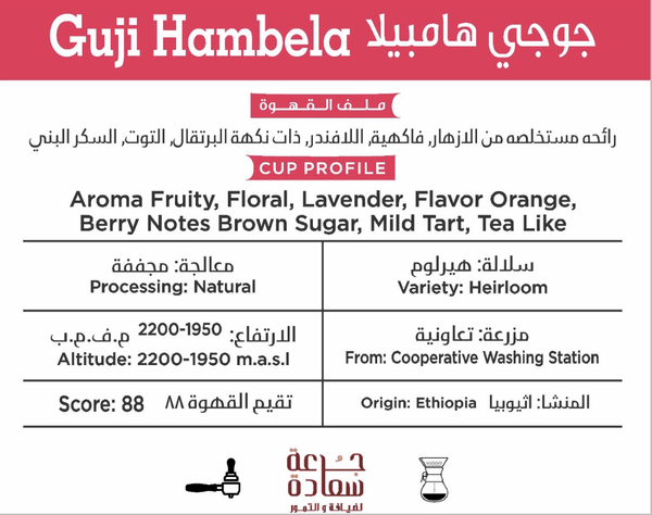 صورة ⁨قهوة مختصة من اثيوبيا جوجي هامبيلا ‏Guji Hambela Speciality Coffee from *Ethiopia⁩